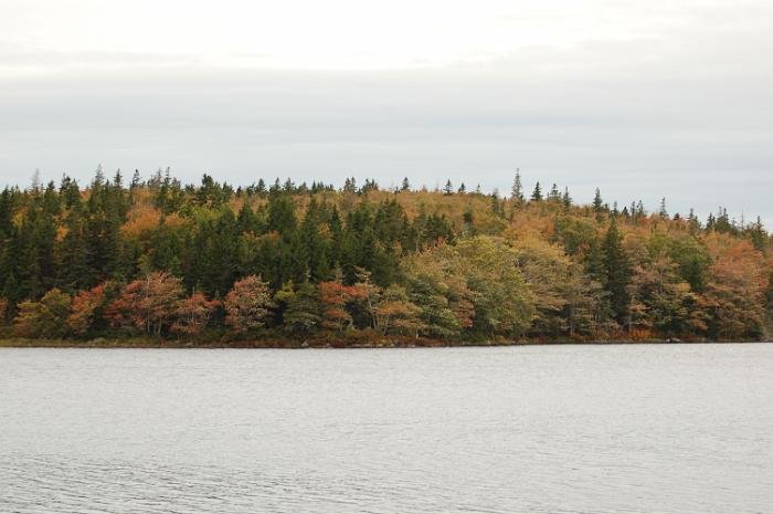 Salmon Lake 2010_038
